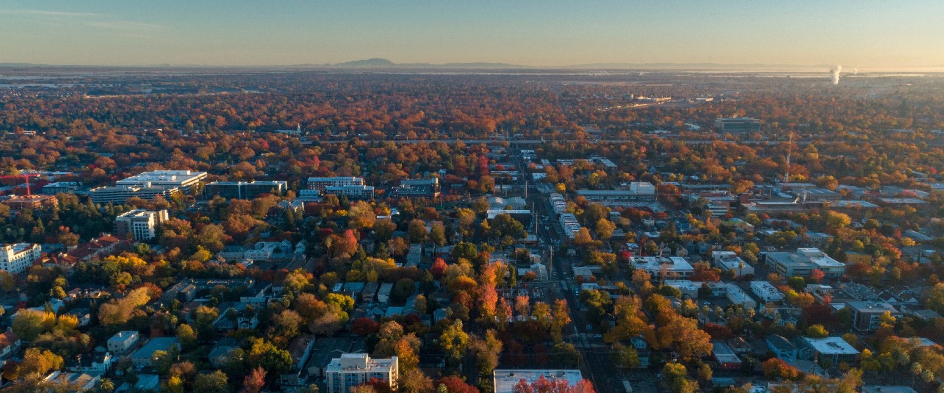 Food Assistance Programs in Sacramento, CA: A Comprehensive Guide